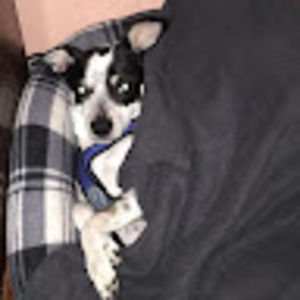 Meet your Posher, Jigs